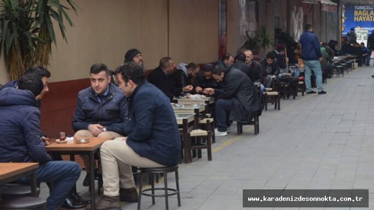 Trabzon'da kaç çay ocağı var?