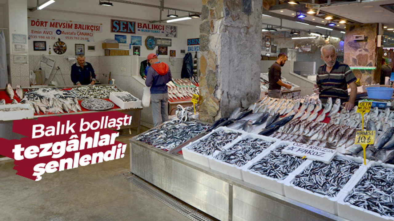 Balık bollaştı, tezgâhlar şenlendi! İşte fiyatlar...