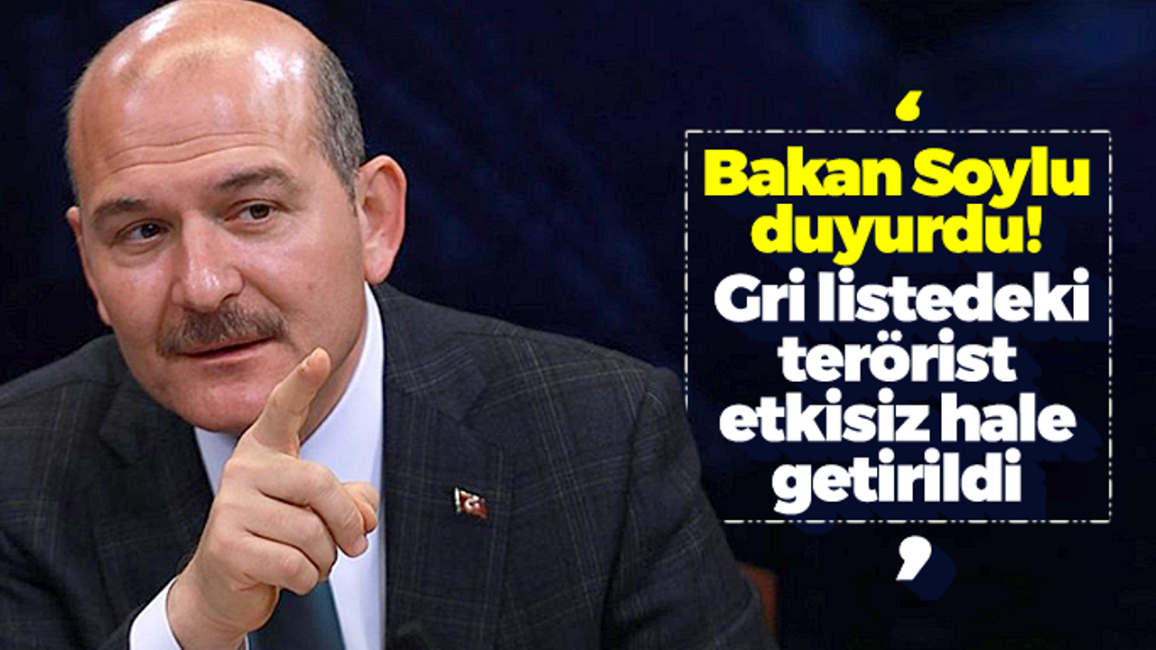 Bakan Soylu: Gri listedeki terörist etkisiz hale getirildi