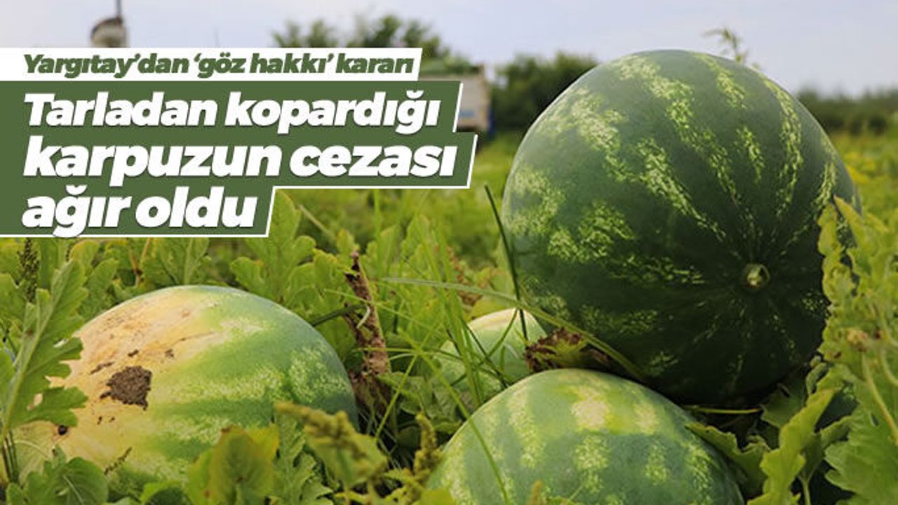 Yargıtay'dan göz hakkı ve karpuz kararı
