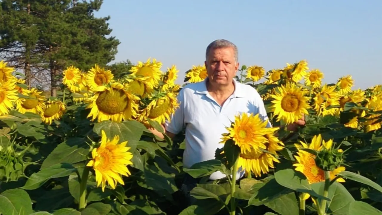 CHP’li Oğuz’dan Trakya’da ayçiçeği alarmı!