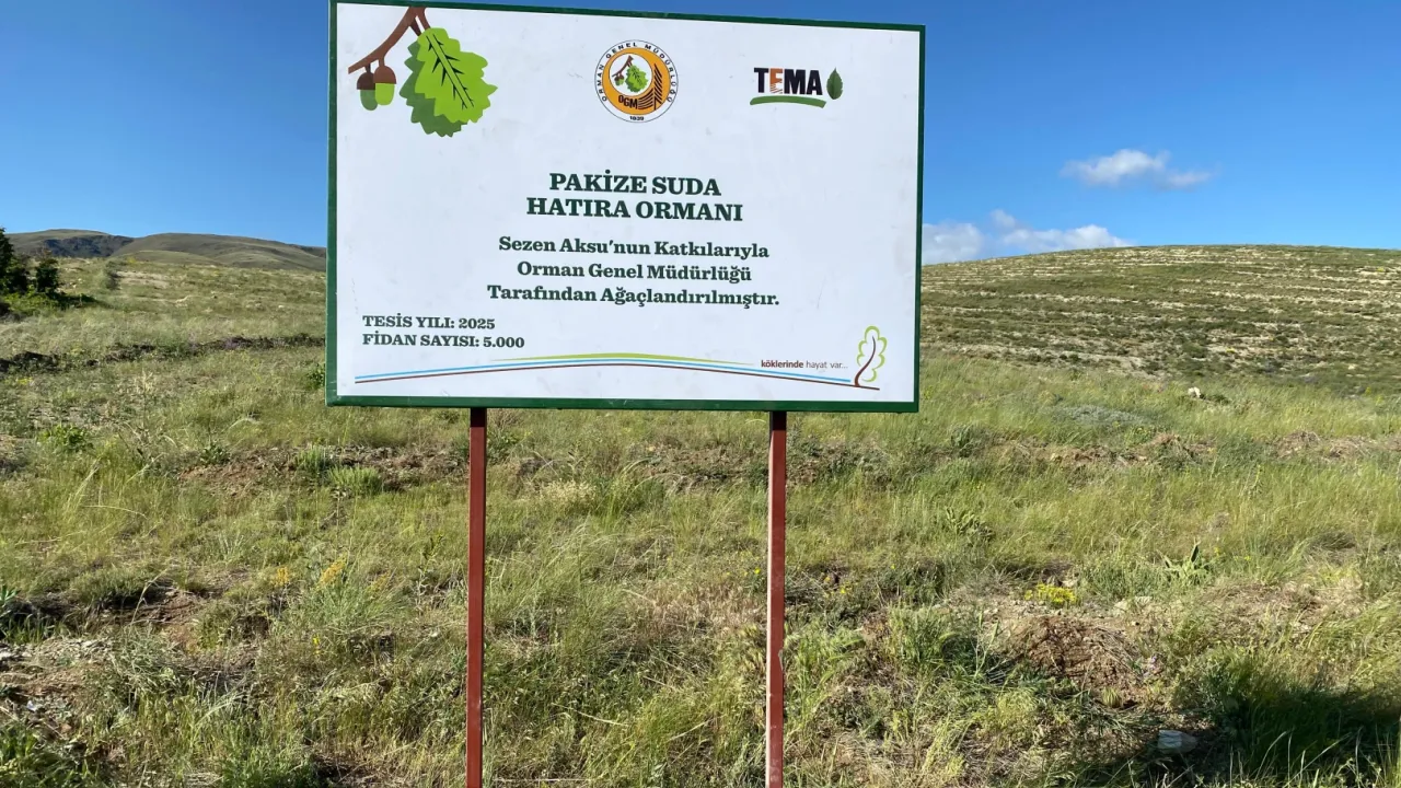 TEMA gönüllüsü Sezen Aksu, Pakize Suda adını hatıra ormanı ile yaşatacak