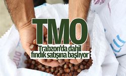 TMO Trabzon'da dahil fındık satışına başlıyor!