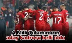 A Milli Takımımızın aday kadrosu belli oldu