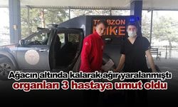 Ağacın altında kalarak ağır yaralanmıştı, organları 3 hastaya umut oldu