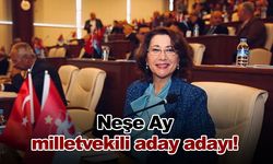 Neşe Ay milletvekili aday adayı!