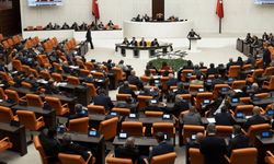 Meclis'te bu hafta: Kabine yemin edecek, başkan seçimi yapılacak