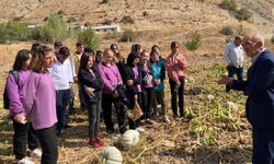 Öğrencilere tarlada ata tohumun ve organik tarımın önemi anlatıldı