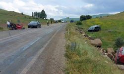 İkiye bölünen otomobilin sürücüsü kurtarılamadı