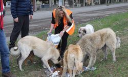 Atakum Belediyesi’nden patili dostlara 32 ton mama desteği