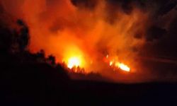 Trabzon'da beş ilçede yangın