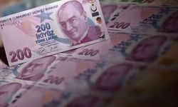 Yeni 200 TL'lik banknotlar tedavüle girdi