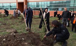 Cumhuriyetin 100’üncü yılında 100 fidan toprakla buluşturuldu