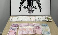 Trabzon'da kumar baskını