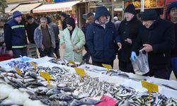 Gençlik iksiri kolajen sayesinde hamsiye olan ilgi arttı: Kadınlar eşlerinden hamsi istiyor