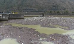 Artvin'deki sel Muratlı Baraj Gölü'nü çöplüğe çevirdi