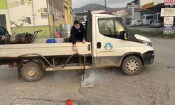 Bartın'da ilaçlama çalışmaları başladı