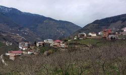 34 yıl sonra yeniden Giresun’a bağlanıyorlar