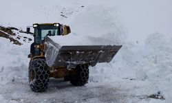 Ardahan-Ardanuç karayolunda yoğun kar mesaisi