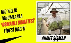 100 yıllık tohumlarla ‘Osmanlı domatesi' fidesi üretti
