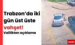 Trabzon’da iki gün üst üste vahşet!