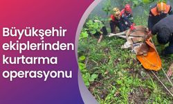 Büyükşehir ekiplerinden kurtarma operasyonu