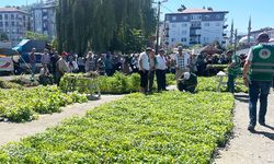 40 bin sebze fidanı vatandaşlara dağıtıldı