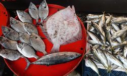 Kurban eti ve sıcaklıklar balığa talebi azalttı