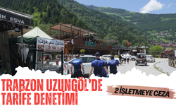 Trabzon Uzungöl'de fiyat tarifelerine denetim