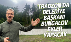 Trabzon'da belediye başkanı bungalov evler yapacak