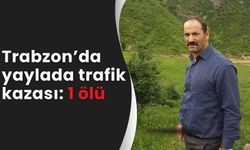Trabzon’da yaylada trafik kazası: 1 ölü