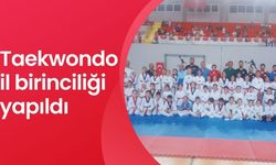 Taekwondo il birinciliği yapıldı