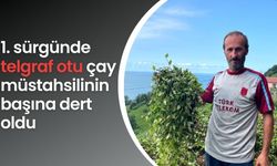 Trabzon’da kentsel dönüşüm alanı ilan edilen yerin bir kısmı kaldırıldı