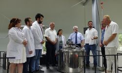 Artvin Çoruh Üniversitesi'nden Tıbbi ve Aromatik Bitkilerde Yeni Proje: Yüksek Katma Değerli Ürünler Hedefleniyor