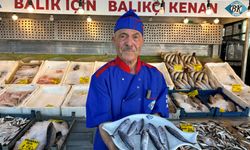 Trabzon’da Palamut Balığının Erken Görülmesi, Yeni Sezon İçin Umut Verdi