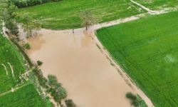 Bafra Ovası'nda Çeltik Tarlaları Su Altında Kaldı