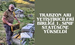 Trabzon Arı Yetiştiricileri Birliği 1. Sınıf Statüsüne Yükseldi