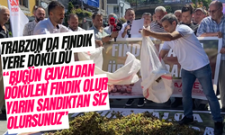 Trabzon'da Saadet Partisi'nden fındık fiyatı eylemi