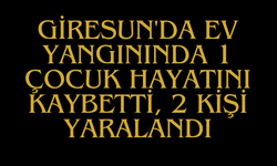 Giresun'da Ev Yangınında 1 Çocuk Hayatını Kaybetti, 2 Kişi Yaralandı