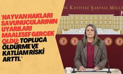 Sibel Suiçmez: "Köpek katliamları, yeni kanun değişikliğiyle meşrulaştırıldı."