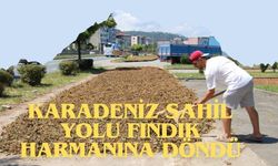 Karadeniz Sahil Yolu Fındık Harmanına Döndü