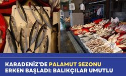 Karadeniz’de Palamut Sezonu Erken Başladı: Balıkçılar Umutlu