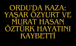 Ordu'da Kaza: Yaşar Özyurt ve Murat Hasan Öztürk Hayatını Kaybetti