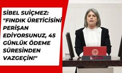 Sibel Suiçmez: "Fındık Üreticisini Perişan Ediyorsunuz, 45 Günlük Ödeme Süresinden Vazgeçin!"