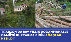 Trabzon'da 809 Yıllık Doğanmahalle Camii'ni Kurtarmak İçin Ağaçlar Kesildi"