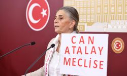 Sibel Suiçmez: "Meclis, milletvekillerinin kanına bulanmış durumda. Bu kabul edilemez, yazıktır."