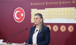 Sibel Suiçmez'den Tarım Arazileri Yönetmeliğine Tepki: 'Çiftçiye Gözdağı Veriliyor