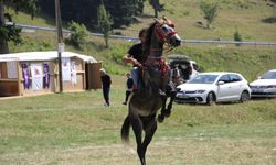 Sahara Milli Parkı'nda Gökyüzü Gözlem Etkinliği İptal Oldu, Katılımcılar Doğanın Tadını Çıkardı