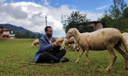 Kaymakamlık hayalini gerçekleştiremeyen genç, çoban oldu, sürüsünü büyüttü (Artvin Haber)