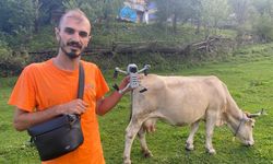 Onur Ekin Dron ile İneklerini Ahıra Getiriyor (Artvin Haber)